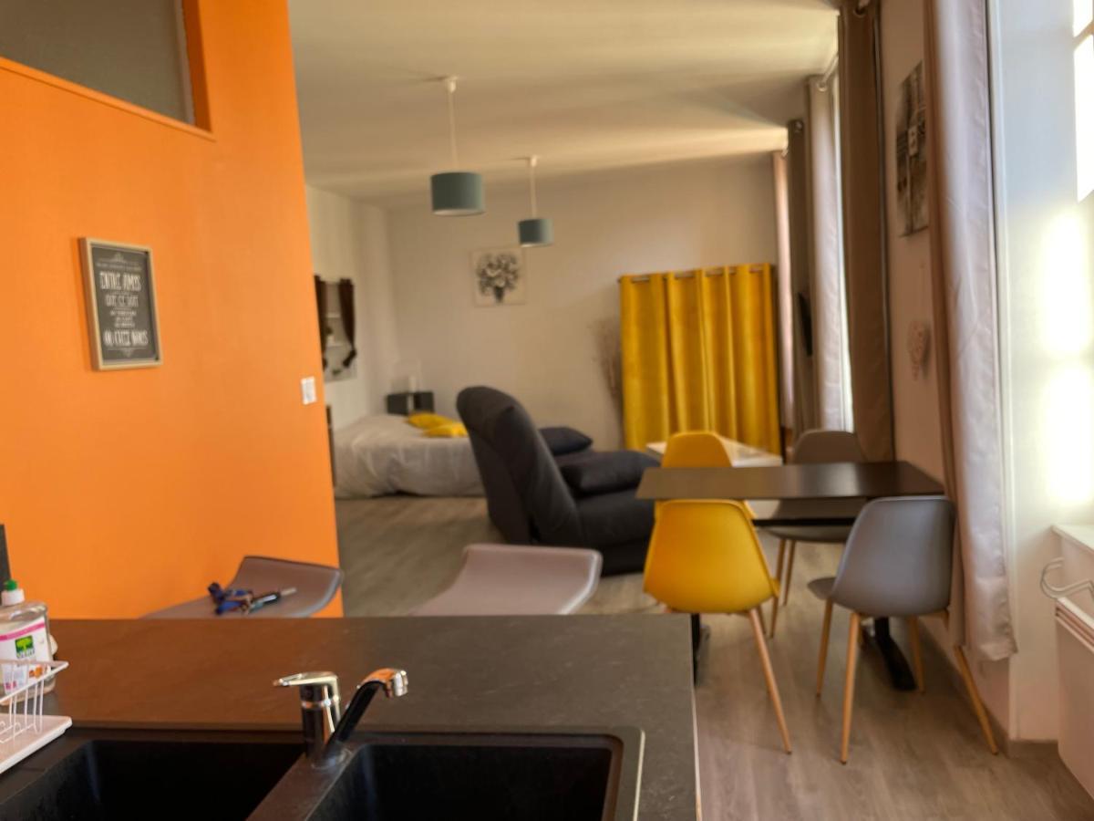 Millau Superbe Studio 35M2 Centre Ville Calme Et Ajoure Екстер'єр фото